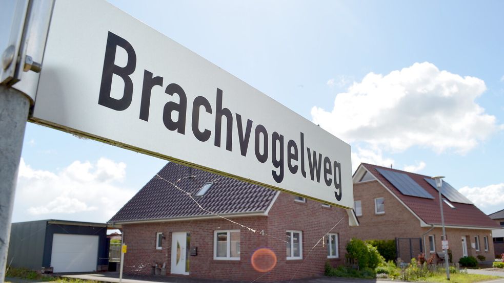 27 Familien leben im Rhauderfehner Brachvogelweg. Eine Anliegergemeinschaft hatte bei der Gemeinde beantragt, die Straße als verkehrsberuhigten Bereich auszuweisen. Doch als das Thema jetzt im Verkehrsausschuss behandelt wurde, war kein einziger Anwohner zugegen. Foto: Astrid Fertig