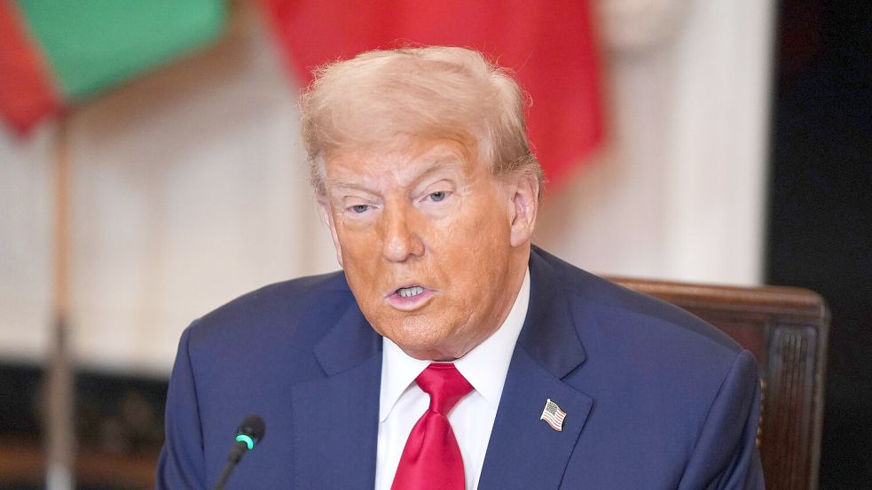 Die Trump-Zölle betreffen auch kanadische Produkte. (Archivfoto) Foto: Evan Vucci/AP/dpa
