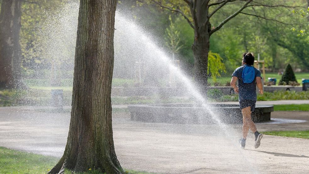 Die Auswirkungen regelmäßiger körperlicher Aktivität auf die durchschnittliche Lebensdauer sind enorm. (Symbolbild) Foto: Sören Stache/dpa