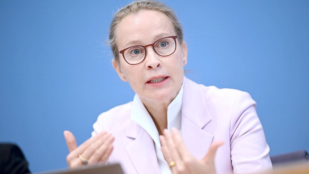 Mehrere CDU-Abgeordnete hatten sich gegen die Wahl von Frauke Brosius-Gersdorf zur Verfassungsrichterin ausgesprochen. (Archivbild) Foto: Britta Pedersen/dpa