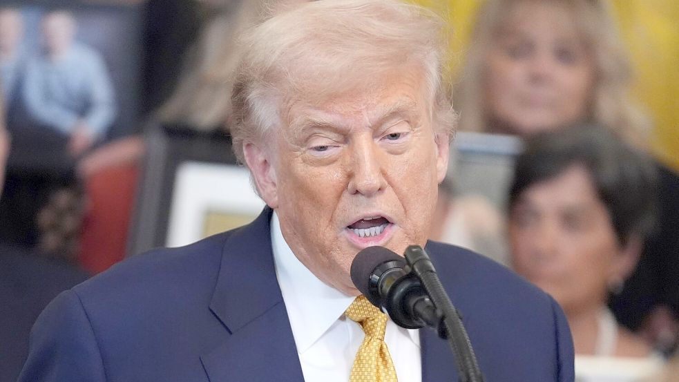 Trump will einige Unterlagen zum Fall Epstein veröffentlichen. Foto: Evan Vucci/AP/dpa