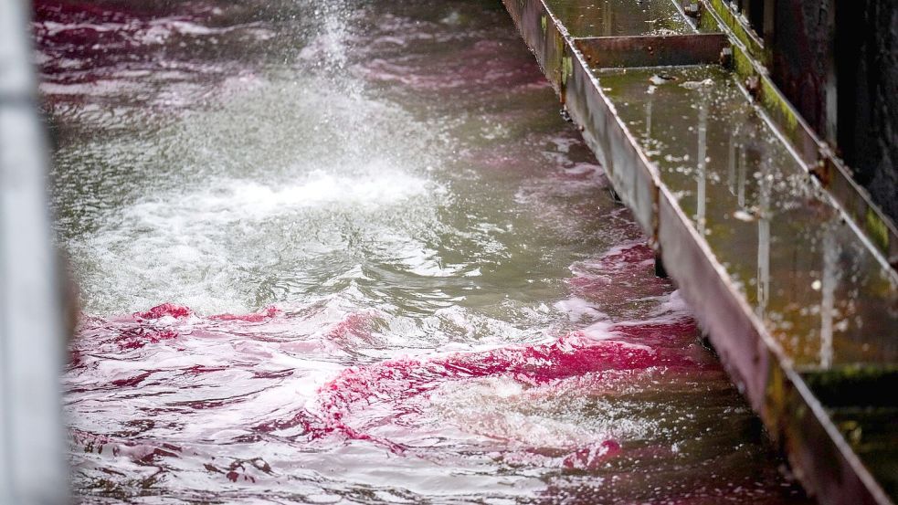 Ein roter Ölteppich bereitet sich auf dem Wasser aus. Foto: Sina Schuldt/dpa