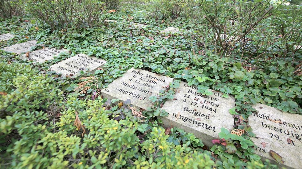 188 Gedenksteine erinnern an die Opfer in den zwei Monaten, die das KZ Engerhafe bestand. Foto: Nicole Böning/Archiv