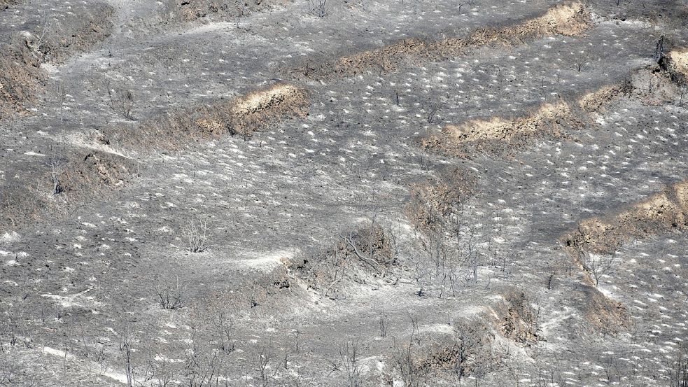 Den Behörden zufolge soll eine Fläche von rund 120 Quadratkilometern verbrannt sein. Foto: Petros Karadjias/AP/dpa