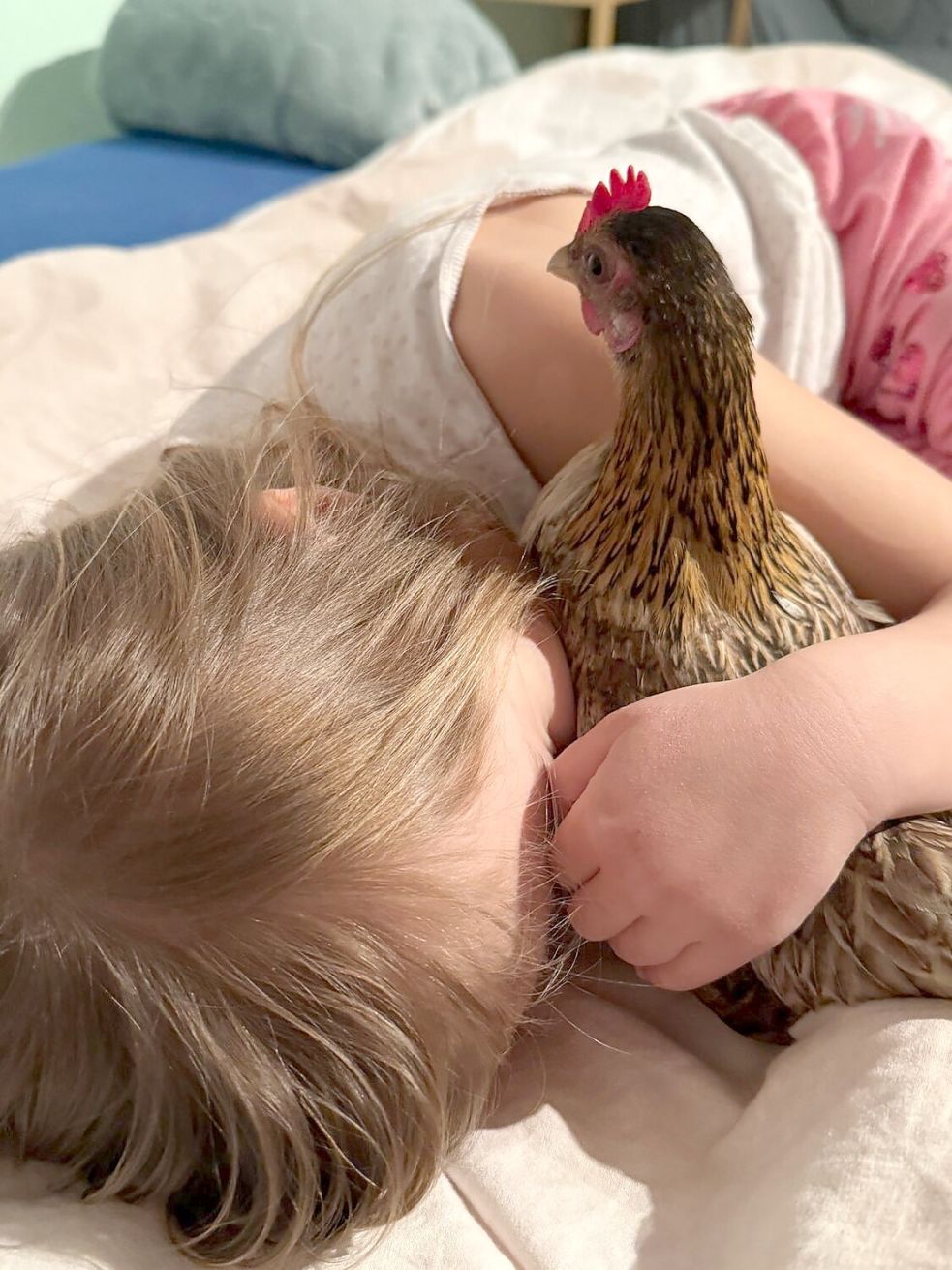 Kuscheln mit Huhn: Helene ist ganz zahm. Foto: privat