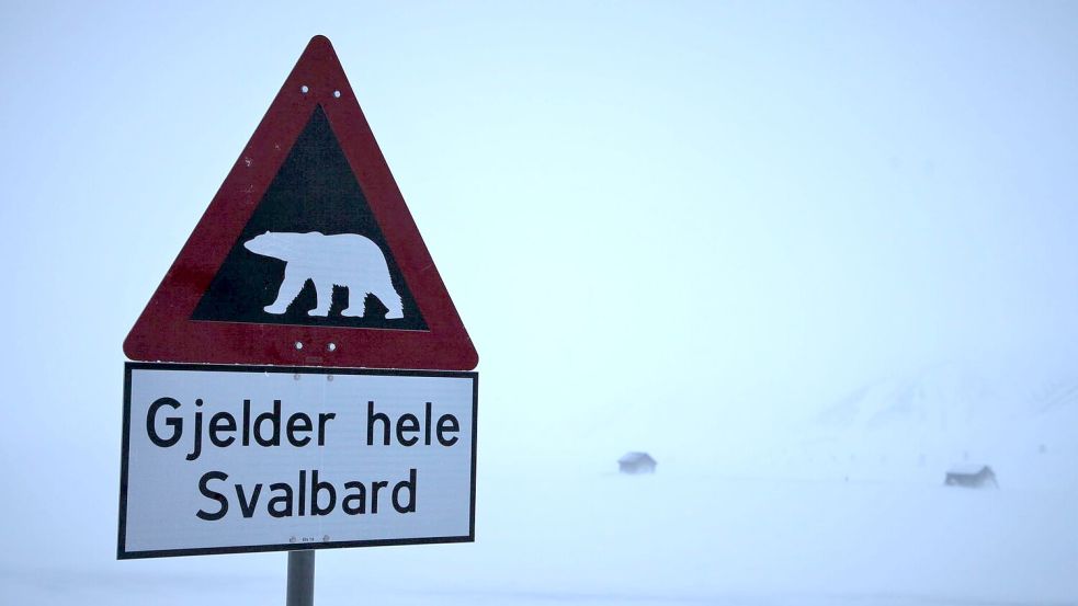 Ein Schild warnt auf Spitzbergen vor Eisbären. (Symbolbild) Foto: Steffen Trumpf/dpa