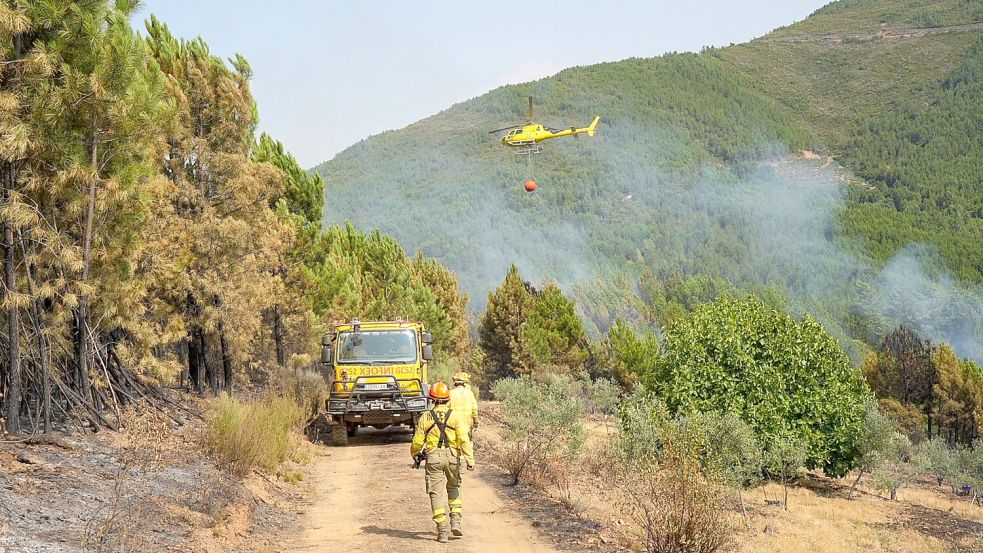 In Las Hurdes in der spanischen Region Cáceres konnte ein größerer Waldbrand nach mehreren Tagen unter Kontrolle gebracht werden. Foto: Carlos Criado/EUROPA PRESS/dpa