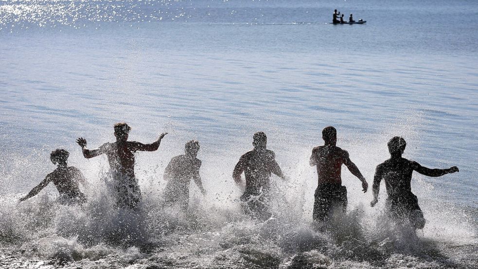 Wer im Sommer einen Ausflug an den Badesee macht, kann von einigen Tieren Gesellschaft bekommen. Viele von ihnen sind friedliche Mitschwimmer, andere können auch gefährlich werden. Foto: dpa/Karl-Josef Hildenbrand