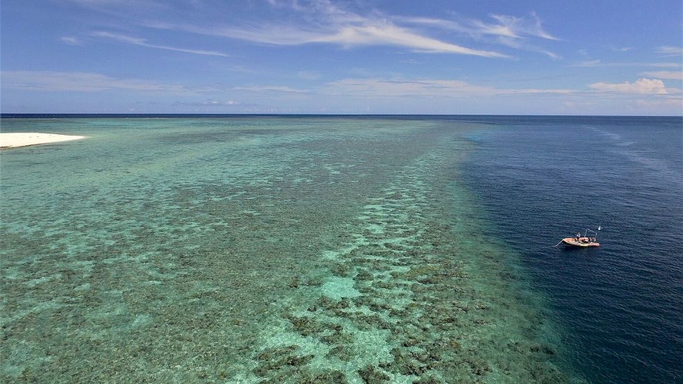Das Australian Institute of Marine Science (AIMS) untersucht das Great Barrier Reef seit vielen Jahren. Foto: Kate Osborne/AIMS /dpa