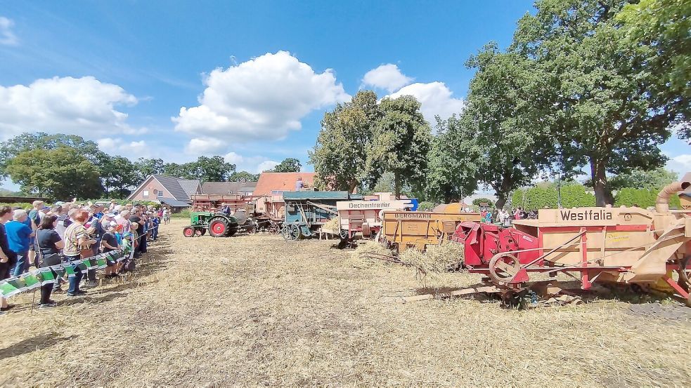 Historische Dreschmaschinen kommen in diesem Jahr in Aperberg nicht zum Einsatz. Foto: Gemeinde Apen/Sczesny