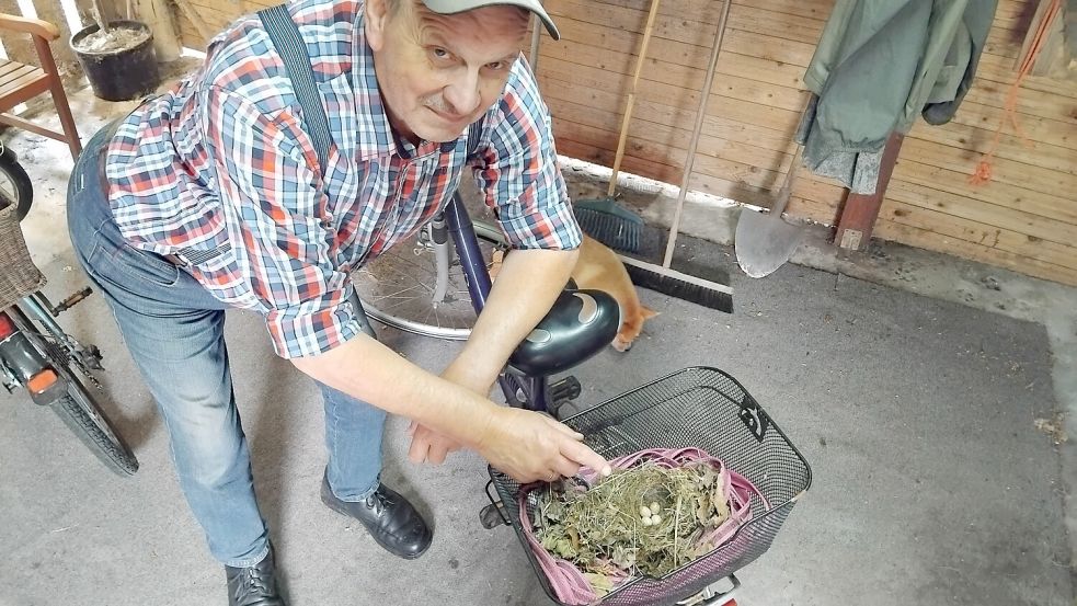 Jan Feldicks Fahrradschuppen wurde kurzerhand zum Brutort auserkoren. Fotos: Clarissa Scherzer