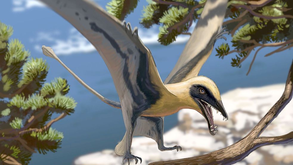 Rekonstruktion des Flugsauriers Eudimorphodon Foto: Joschua Knüppe/Dinosaurierpark Teufelsschlucht/dpa