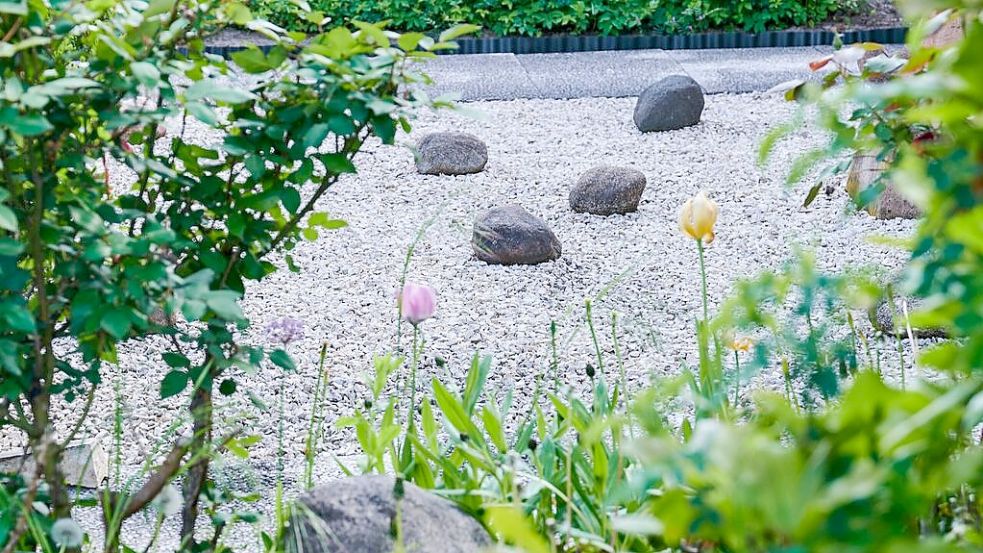Mehr tot als lebendig: In Schotter-, Stein- und Kiesgärten verirren sich nur wenige Pflanzen, Insekten und Tiere. Foto: dpa/Riedl