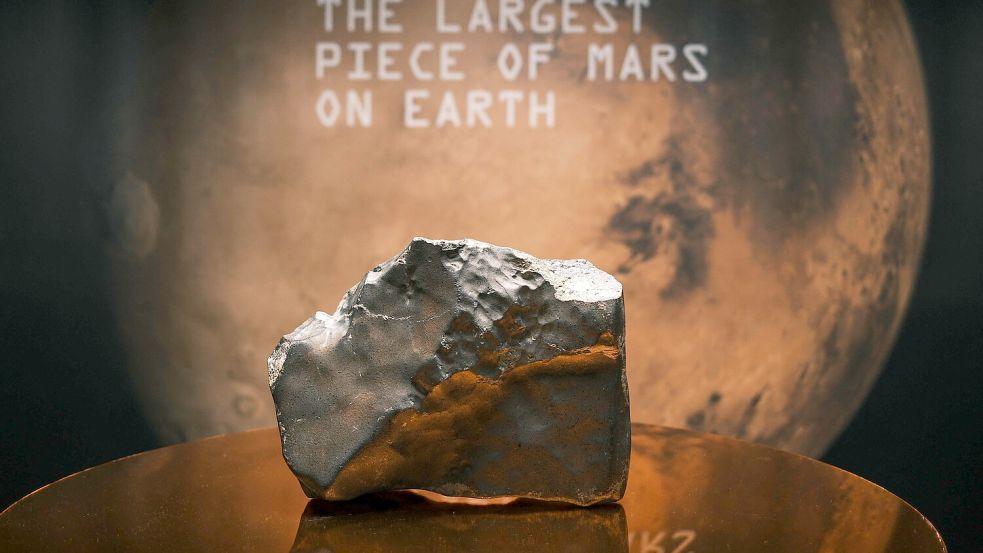 24,7 Kilo wiegt der Stein Brocken, um den sich Niger und USA streiten. Das Luxusauktionshaus Sotheby‘s versteigerte den Stein für 5,3 Millionen Dollar. Foto: afp/ Charly Triballeau