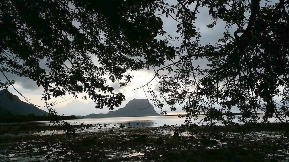 Der Berggipfel Le Morne Brabant auf der Insel Mauritius (Archivbild) Foto: Vel Moonien/dpa
