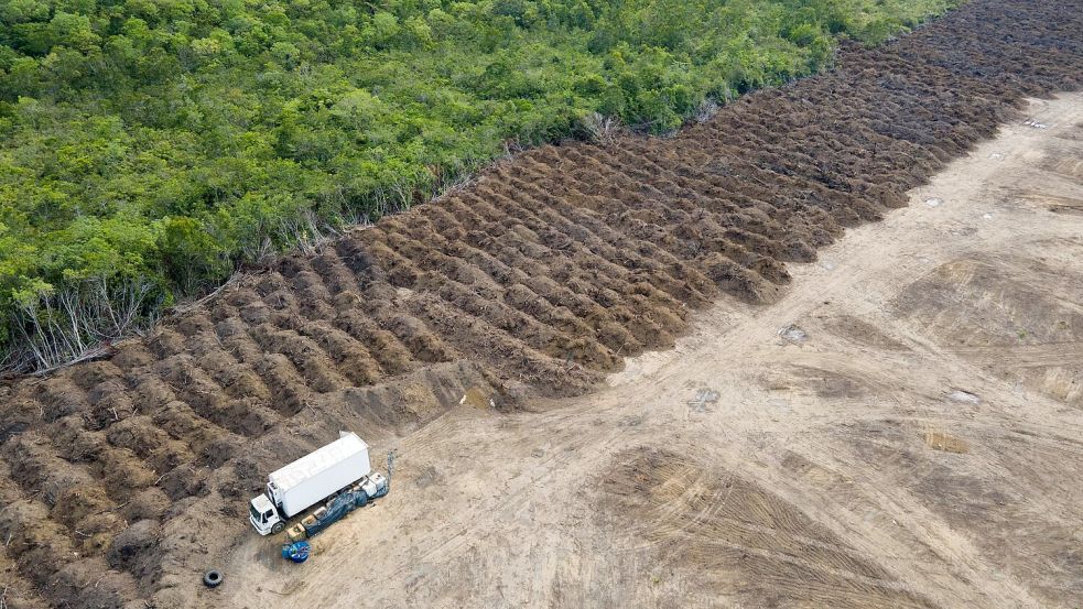 Im brasilianischen Amazonasgebiet sind seit 1985 rund 52 Millionen Hektar Natur verloren gegangen – eine Fläche größer als Spanien. (Archivbild) Foto: Fernando Souza/ZUMA Press Wire/dpa