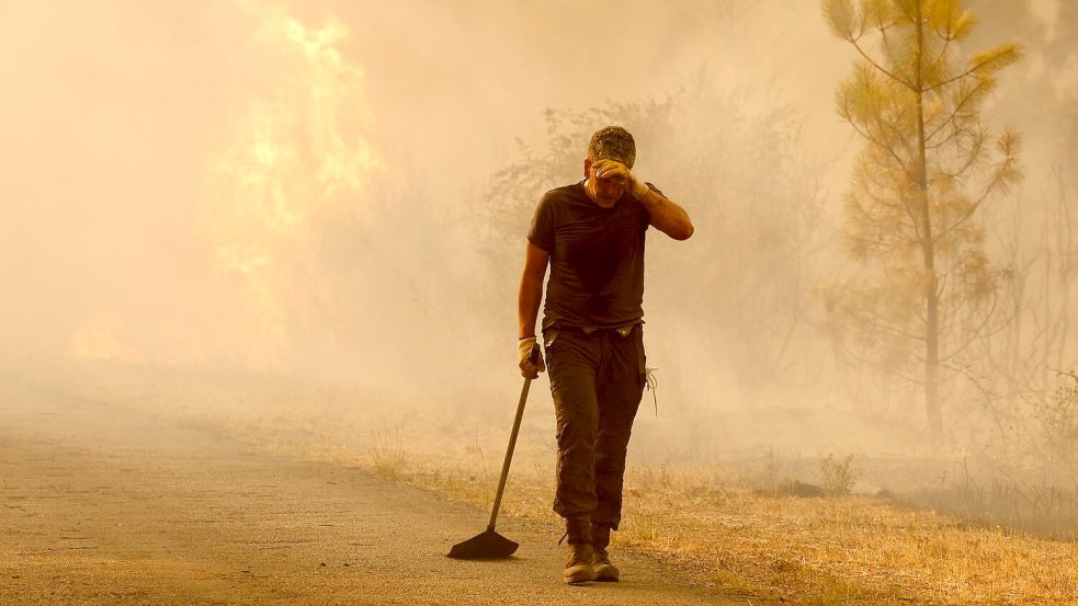 Das extrem heiße Wetter, die zusätzliche Gluthitze der Brände und der viele Rauch bringt die Brandbekämpfer an den Rand ihrer Kräfte. Foto: Lalo R. Villar/AP/dpa