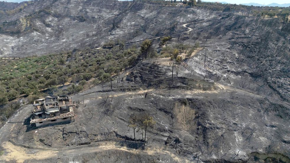 Verbrannte Erde - das Ausmaß der Schäden ist noch nicht abzusehen. Foto: Thanassis Stavrakis/AP/dpa