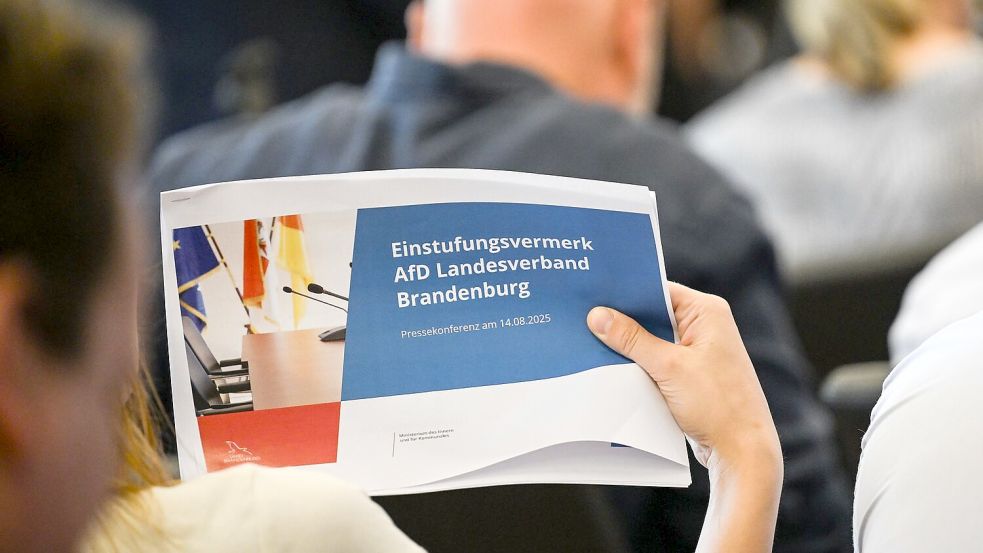 Das Gutachten zur Einstufung der AfD Brandenburg als gesichert rechtsextremistisch wurde am Donnerstag offengelegt. Foto: Britta Pedersen/dpa