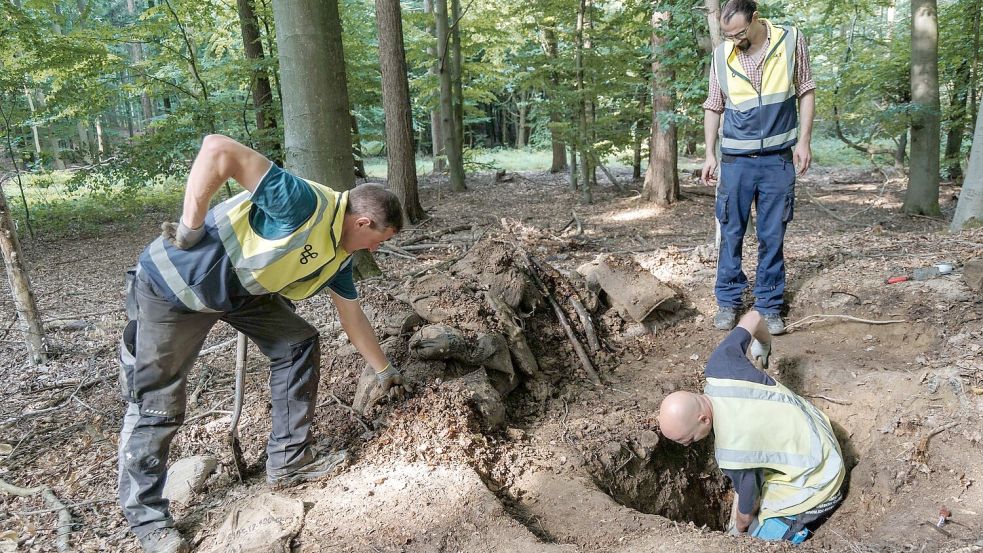 Sie gingen dabei zunächst von einer Raubgrabung aus. Foto: Markus Scholz/dpa