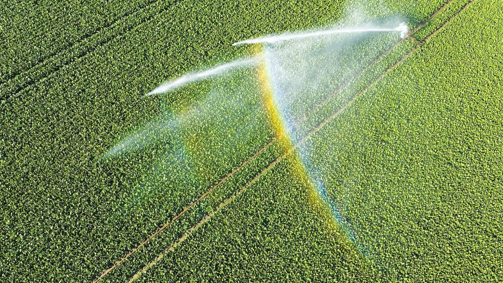 Nicht einmal fünf Prozent der landwirtschaftlichen Fläche kann bewässert werden. Foto: Julian Stratenschulte/dpa