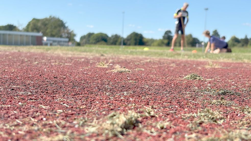 Die Schulen und Vereine nutzen die Sportflächen an der Werftstraße. Jetzt ist eine Verbesserung des Angebotes im Gespräch. Foto: Marion Janßen