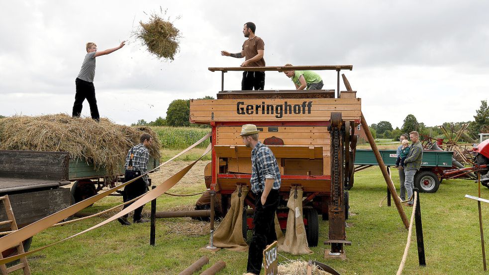 Historische Landmaschinen werden bei den Hatshauser Landtagen vorgeführt. Foto: Melchert Stromann