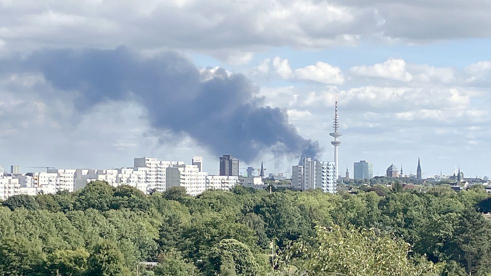 Die Rauchwolke ist auch viele Kilometer vom Brand entfernt noch zu sehen. Foto: Sophie Wehmeyer