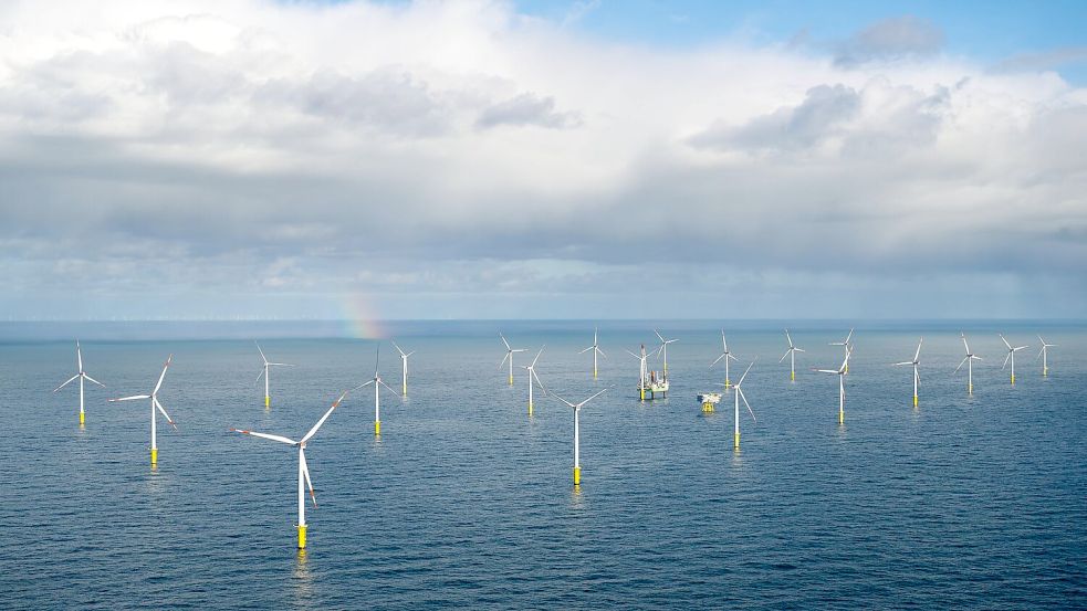 Der Offshore-Windpark Riffgat rund 15 Kilometer nördlich der Insel Borkum. Foto: Sina Schuldt/dpa