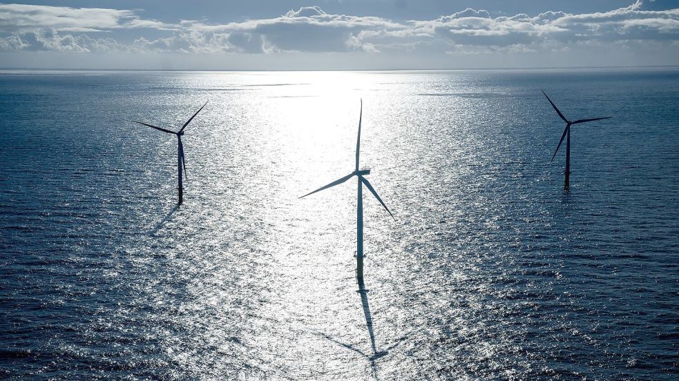 Windkraftanlagen stehen in der Nordsee. (Illustration) Foto: Sina Schuldt/dpa