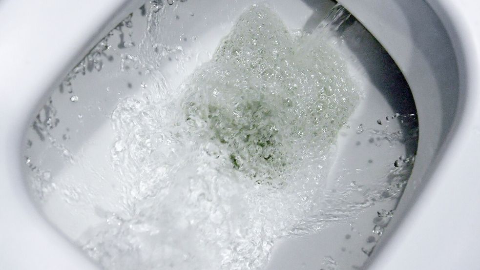 Spülwasser rauscht durch eine Toilette. Für einen Teil der Bunder Bürger wird der Toilettengang künftig teurer. Foto: Ralf Hirschberger/dpa/Archiv