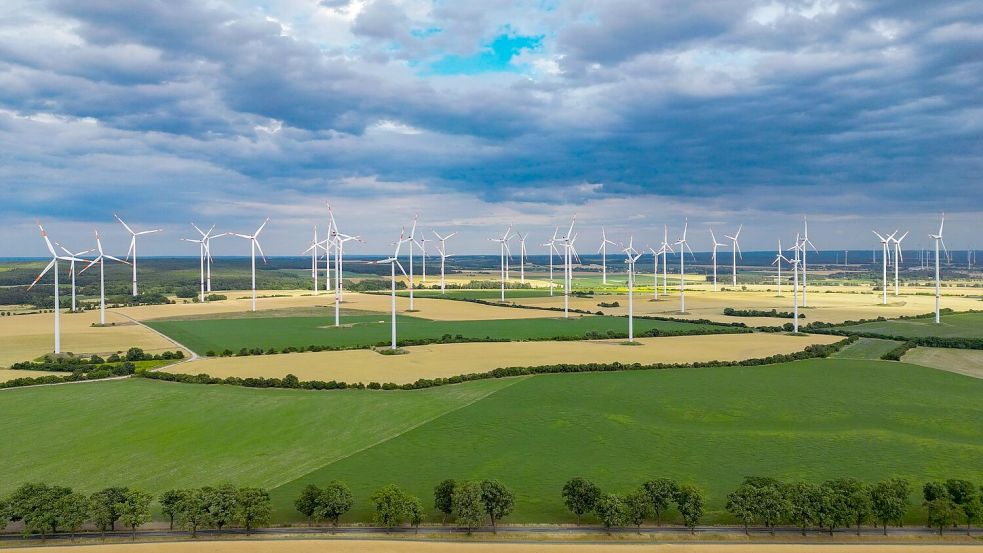 In der Energiewende-Rangliste des WWF liegt Brandenburg vorn. Foto: Patrick Pleul