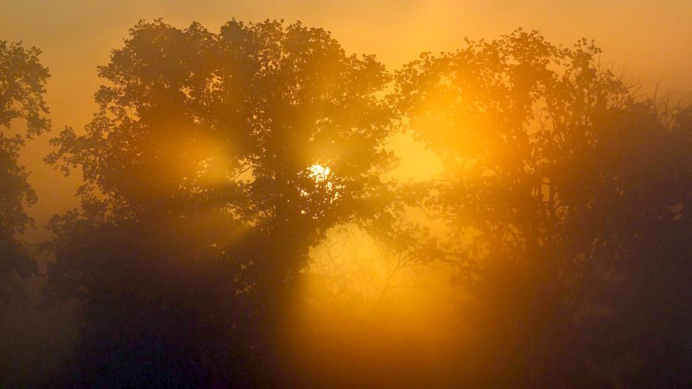 Im Osten bleibt es noch warm und sonnig. Foto: Patrick Pleul