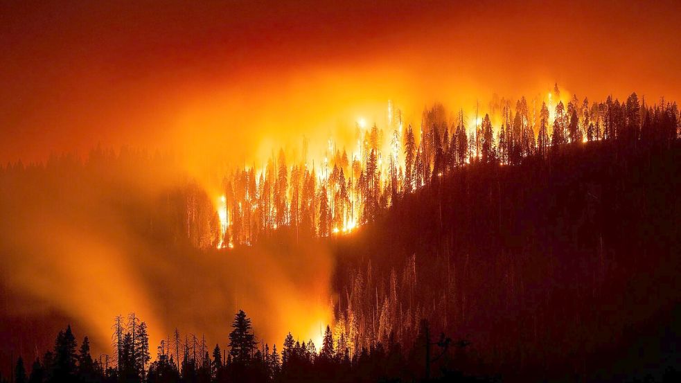 Das „Garnet Fire“ bedroht Riesenmammutbäume im Waldgebiet McKinley Grove. Foto: Noah Berger/FR34727 AP/AP/dpa