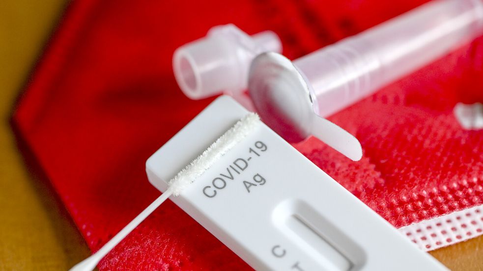 Test-Kit für Corona: Die Pandemie war der ultimative Stresstest für die Gesellschaft. Foto: dpa/Jens Kalaene