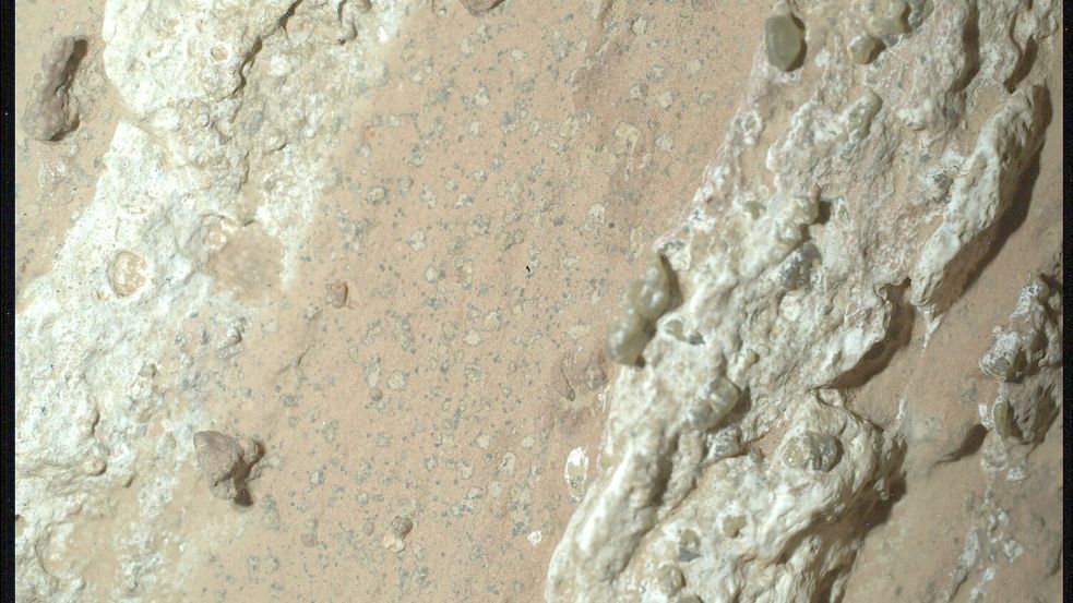 Eine vom Nasa-Rover „Perseverance“ im vergangenen Jahr auf dem Mars entnommene Gesteinsprobe könnte nach Angaben der US-Raumfahrtbehörde möglicherweise Spuren von früherem mikrobiellen Leben enthalten. Foto: ---/NASA/JPL-Caltech/MSSS/dpa