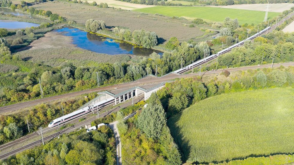 Auf der Bahnstrecke zwischen Hannover und Berlin kommt es zu Verspätungen und Zugausfällen. Foto: Julian Stratenschulte