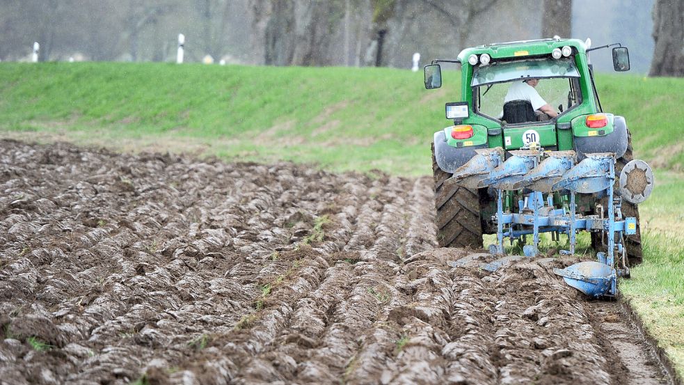 Bauern zahlen weniger Kfz-Steuer. Laut der Zollgewerkschaft bedeuten solche Sonderregelungen einen großen Arbeitsaufwand bei der Prüfung. Foto: dpa/Daniel Bockwoldt