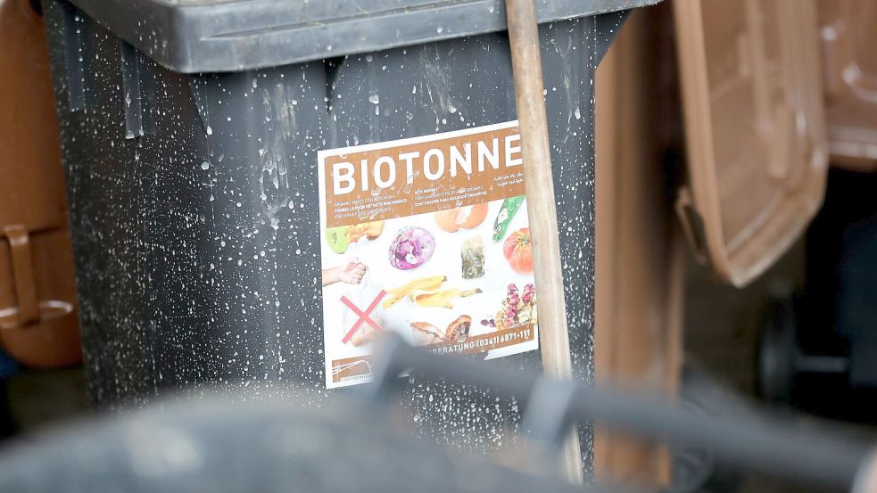 Was darf rein, was nicht? Auf keinen Fall Plastik, Glas, Alufolie und Konservendosen. Foto: Jan Woitas