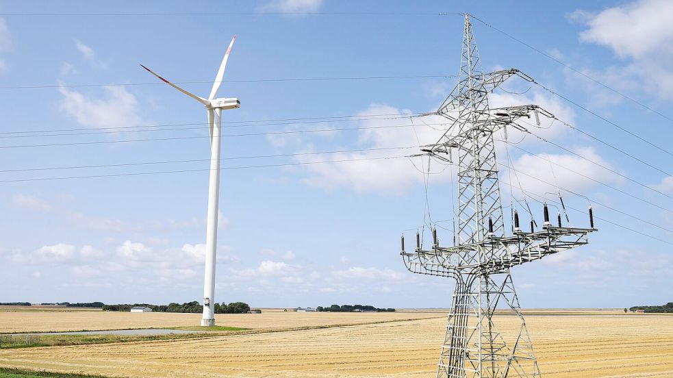 Freileitungen sind günstiger als Erdkabel. Foto: Frank Molter