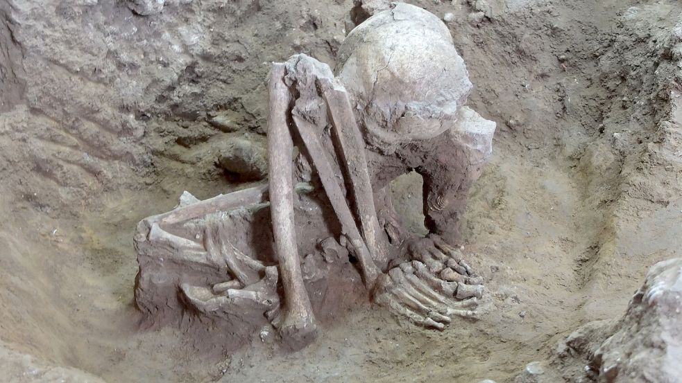 Dieser Fund soll älter als 9.000 Jahre sein. Foto: Yousuke Kaifu;Hirofumi Matsumura