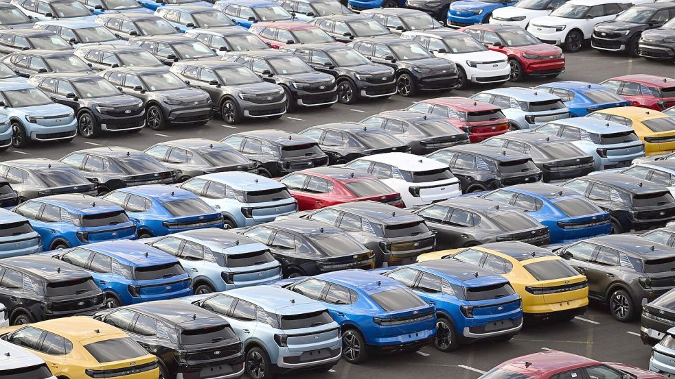 Das Angebot an Ford-Elektroautos ist groß, die Nachfrage eher gering. Foto: Federico Gambarini/dpa