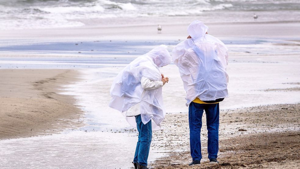 Sturmböen sorgen in Norddeutschland für einzelne Sperrungen und Ausfälle – größere Schäden bleiben aus. Foto: Jens Büttner
