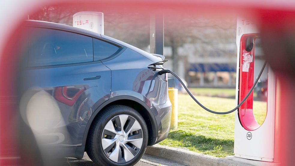 Der Türmechanismus der Teslas wird elektrisch ausgelöst. (Archivbild) Foto: Mike Stewart/AP/dpa
