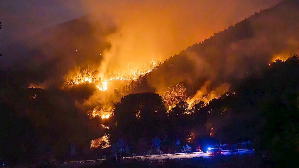 Waldbrände verursachen hohe Kohlenstoff-Emissionen. (Archivbild) Foto: Adrián Irago/EUROPA PRESS/dpa