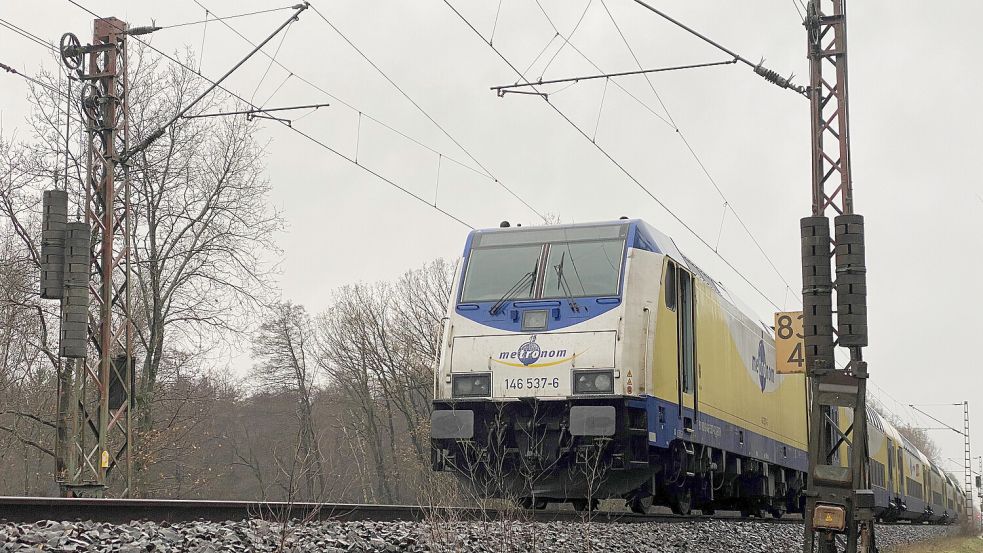 Die Türen des Zugs schlossen sich vor der Mutter, als Kind und Gepäck bereits im Waggon waren. Foto: dpa/TNN/Marcus Golejewski