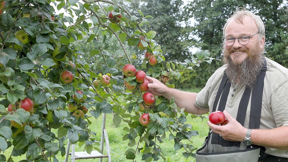 2025 ist ein wahres Apfeljahr: Obstbauer Thorsten Paulsen aus Nordfriesland gibt praktische Tipps rund um Ernte, Lagerung und Baumpflege. Foto: Karina Dreyer
