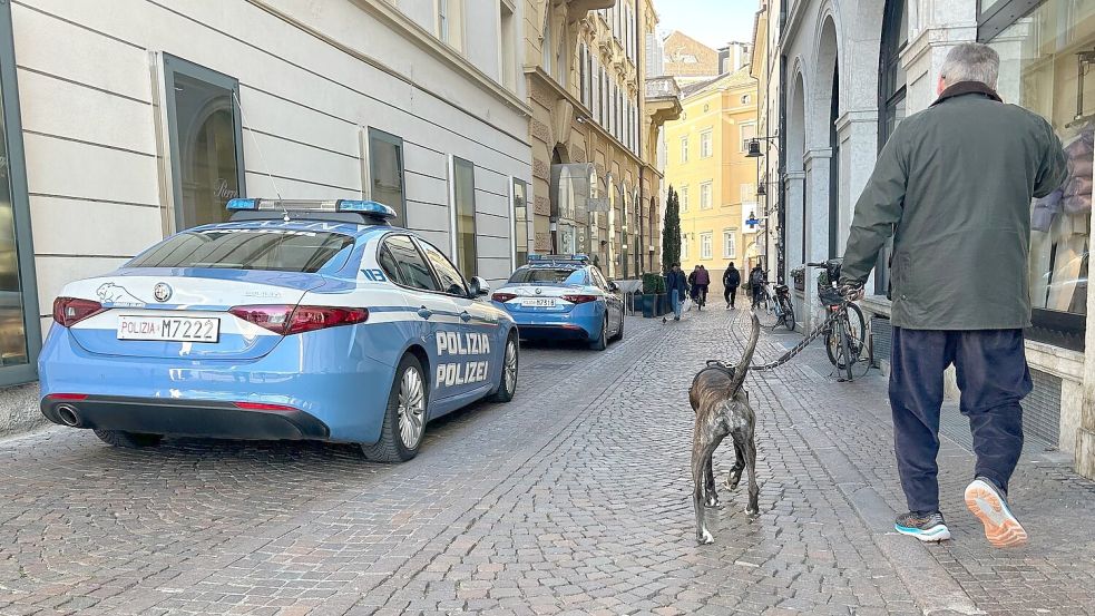 Südtirol will künftig von Hundehaltern eine Art Kurtaxe für ihre Vierbeiner verlangen. (Symbolbild) Foto: Christoph Sator/dpa