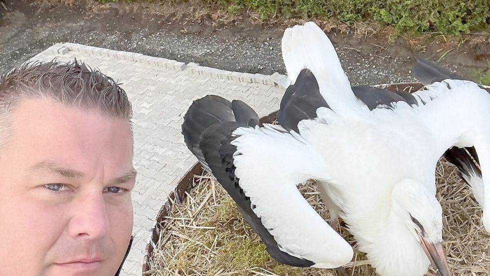 Storchenexperte Holger Boekhoff mit einem Storch auf dem Nest. Foto: Holger Boekhoff