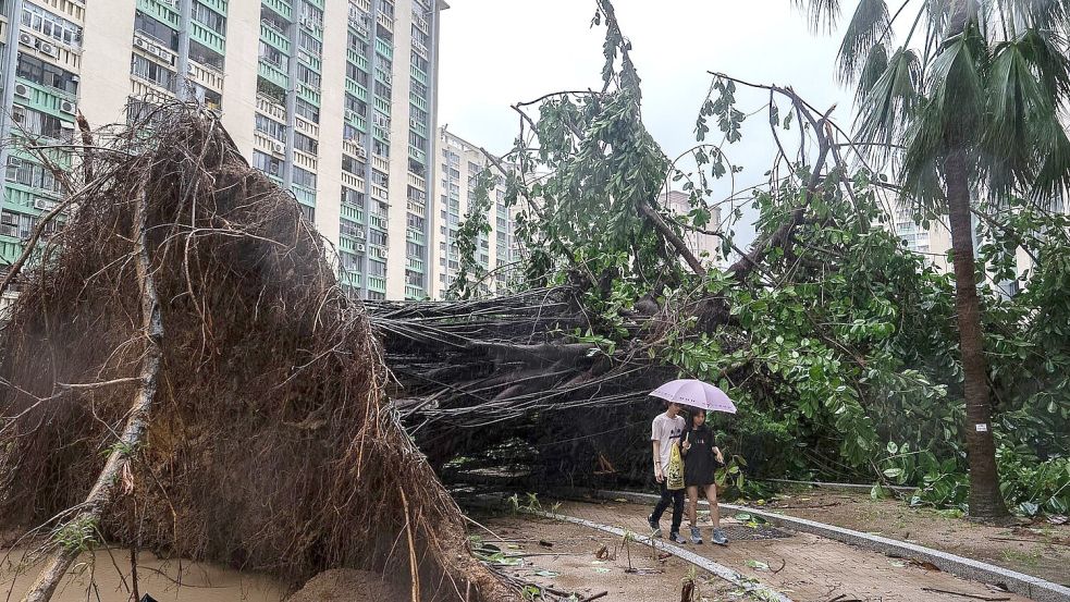 In Hongkong stürzten Hunderte Bäume um. Foto: Chan Long Hei/AP/dpa
